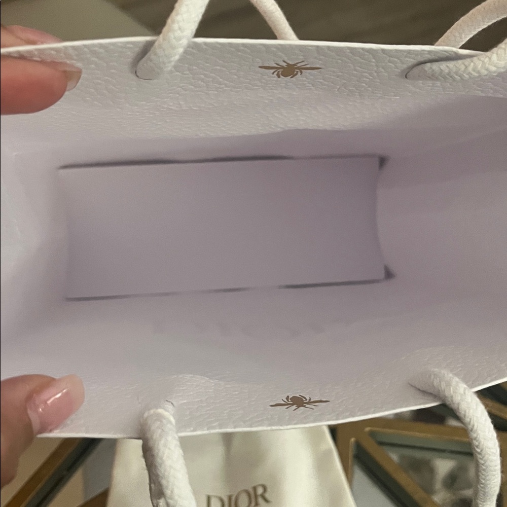 Dior Gift Bag - Picture 9 of 12